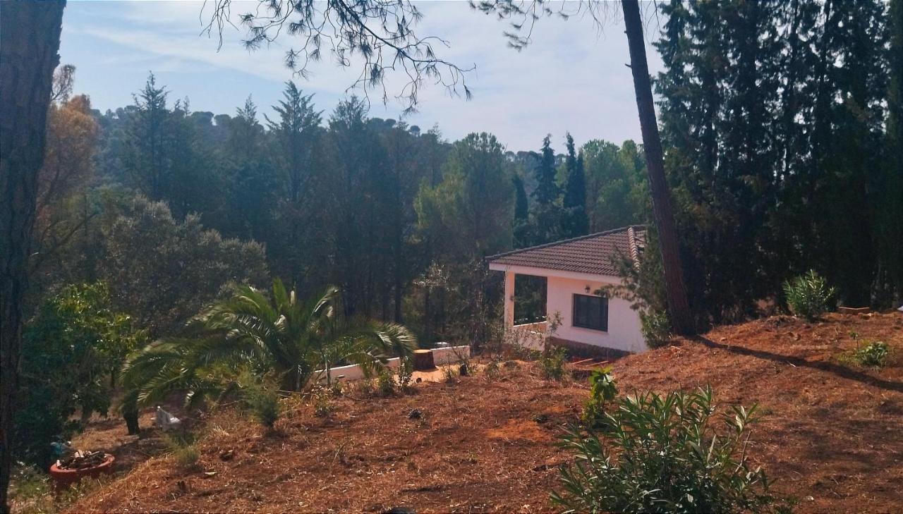 Bonita Casa Blanca En El Bosque. Villa Cordoba Exterior photo